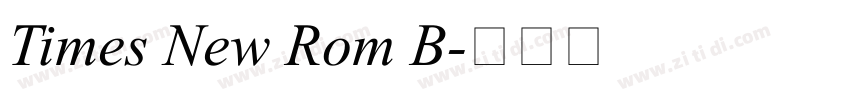 Times New Rom B字体转换